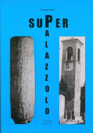 Copertina libro SuperPalazzolo di Giuliano Bini