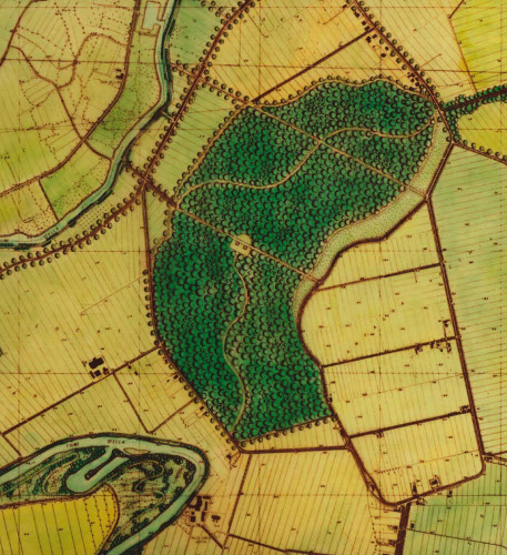 Progetto di ripristino vegetazionale dell'area denominata Bosco Brussa