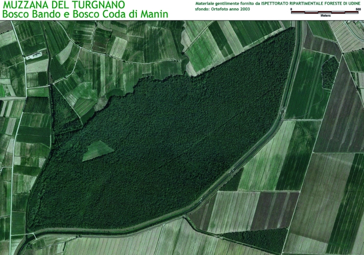 Bosco Bando e Bosco Coda di Manin