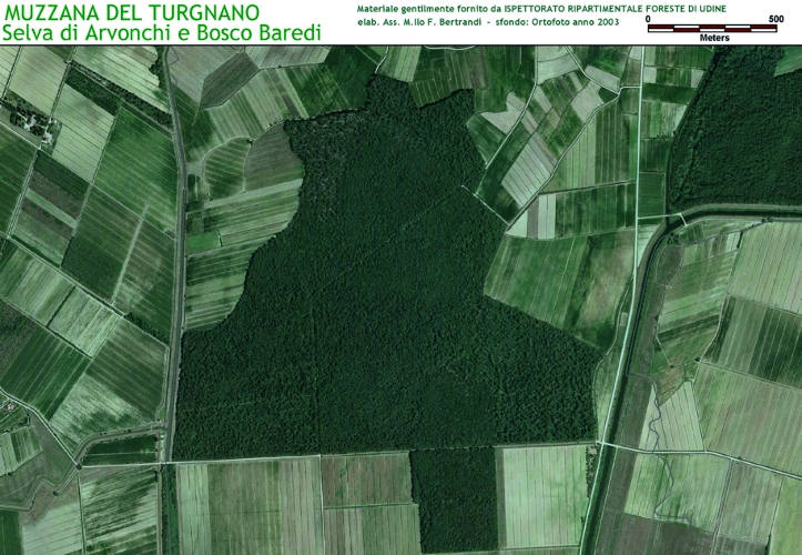 Selva di Avronchi e Bosco Baredi