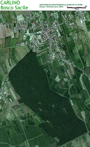 Bosco Salice