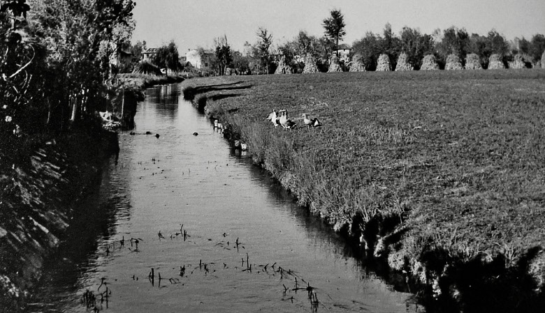 Quando esala un respiro aulente di fieni