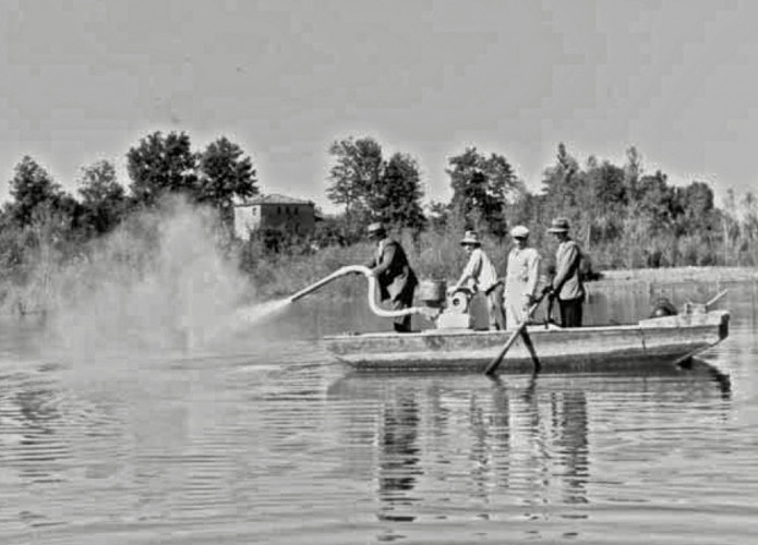 Spargimento del Verde di Parigi