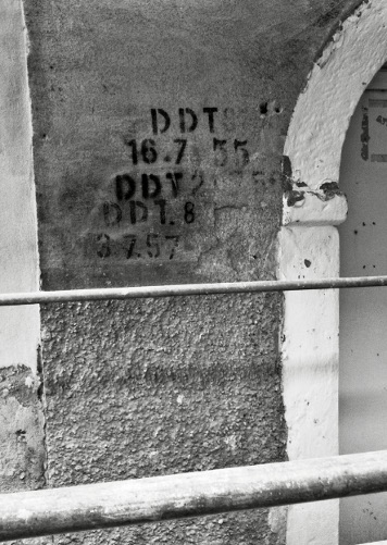 Abitazione disinfettata con il DDT