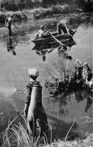 Spruzzamento di Verde di Parigi