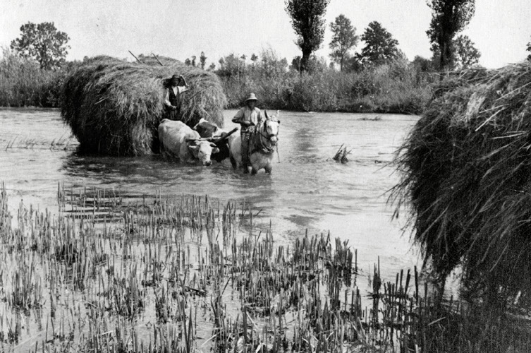 Enormi masse d'acqua scendono inutilmente attraveso le rogge di risorgenza