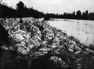 Difesa a valle di Ronchis argine di sinistra del Tagliamento