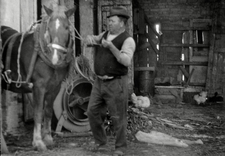Gigi mentre prepara il cavallo