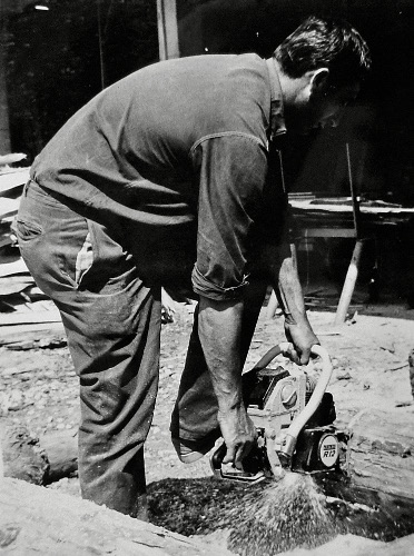 Norino al lavoro con la motosega